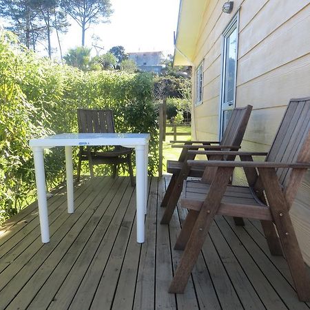 Big Bay Holiday Park Awhitu Room photo